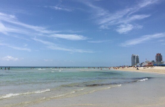 Seaside Serenity: Miami Beach's Oceanfront Rental Gems