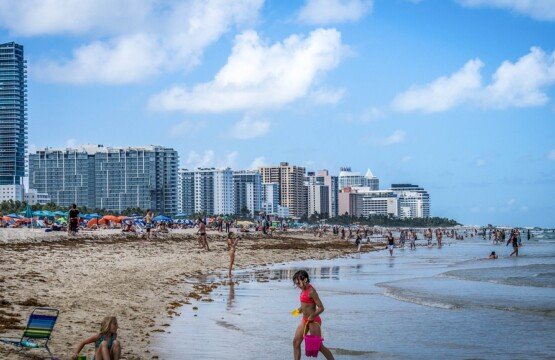 Unparalleled Luxury: Miami Beach's Most Prestigious Properties Revealed